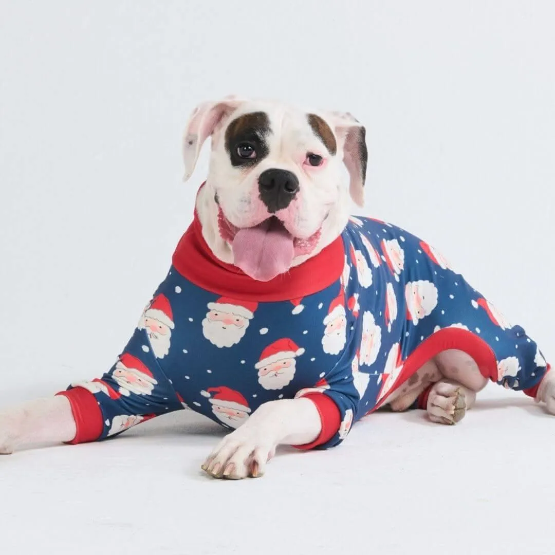 Dog Christmas Pajamas