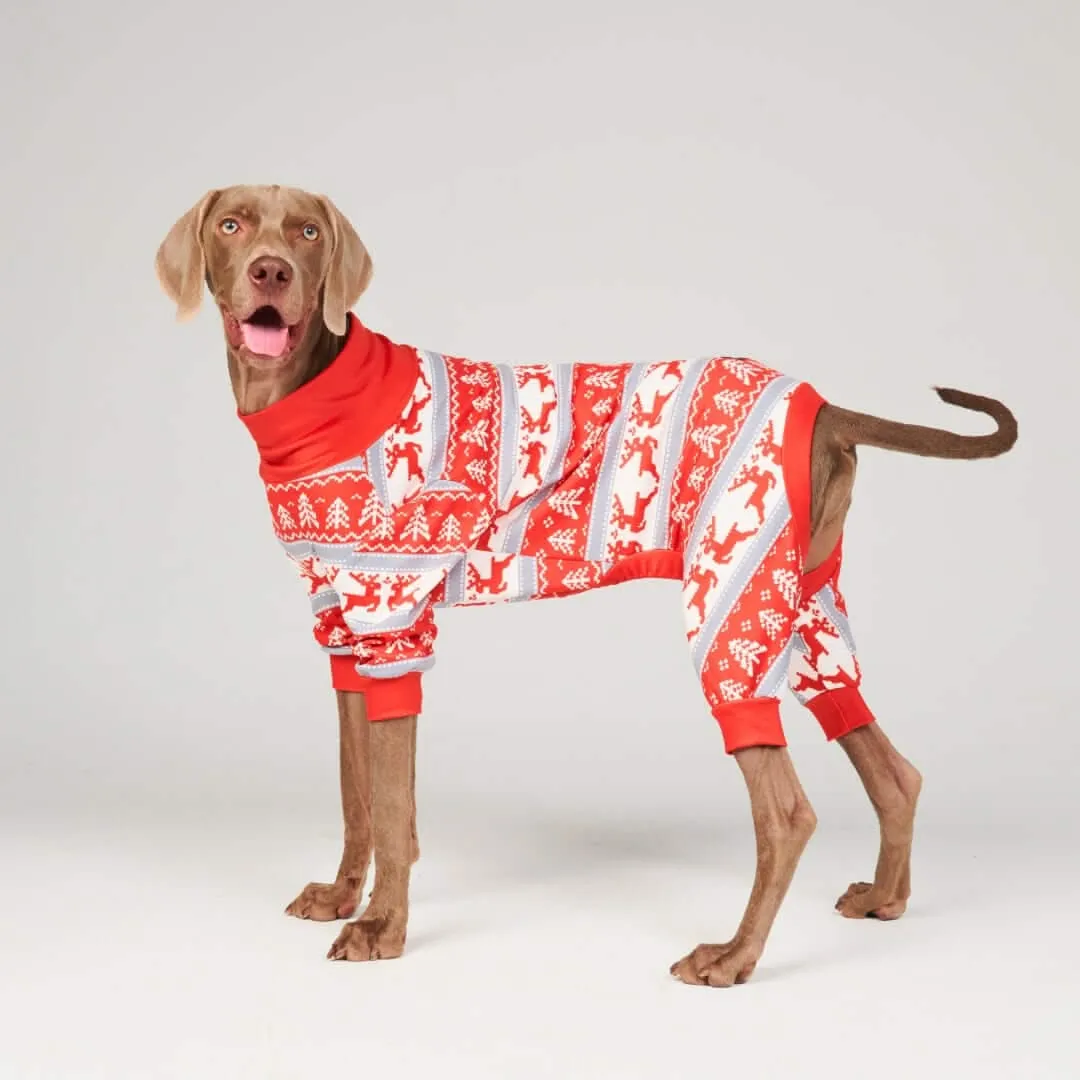 Dog Christmas Pajamas