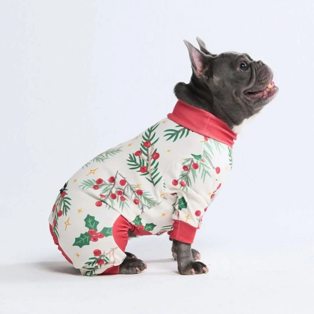 Dog Christmas Pajamas